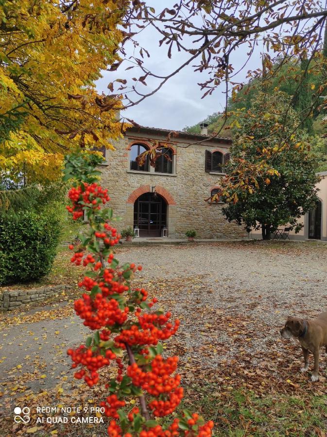 Villa La Ginestra Capolona Esterno foto