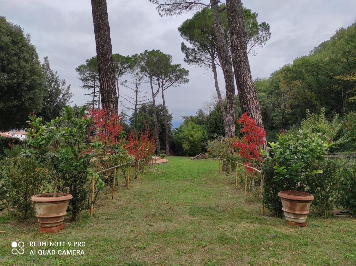 Villa La Ginestra Capolona Esterno foto